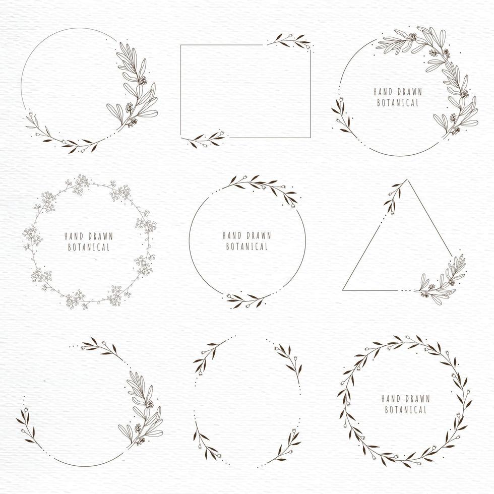Botanical line art vector