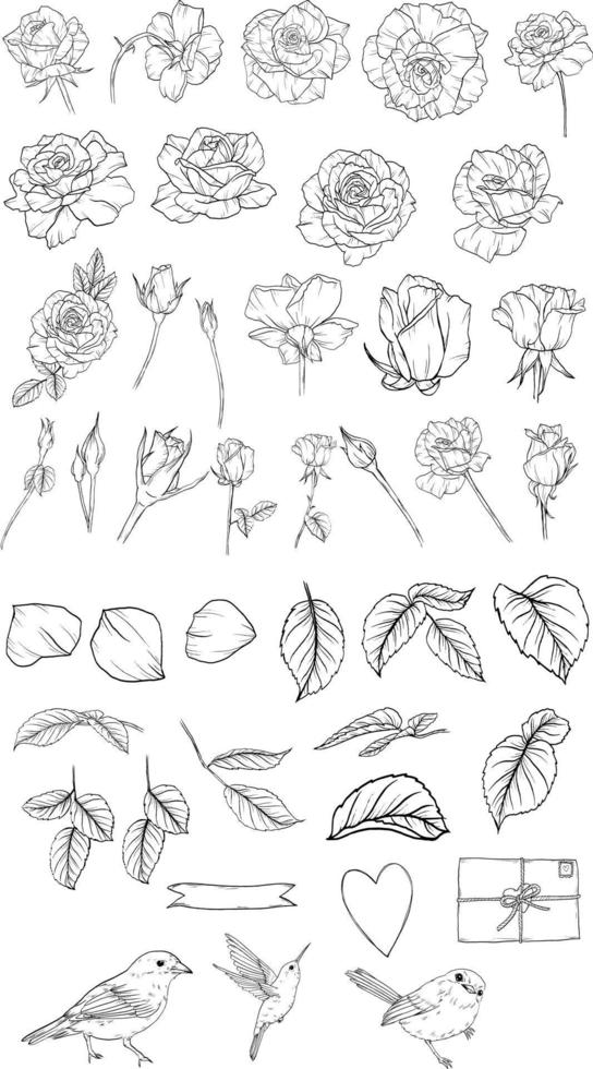 flower line art collection vector