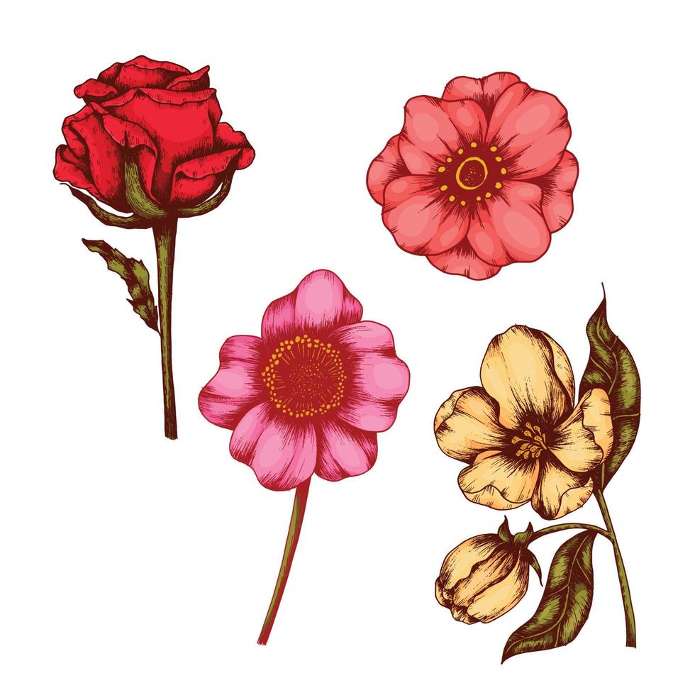 Sketch flower line art vector