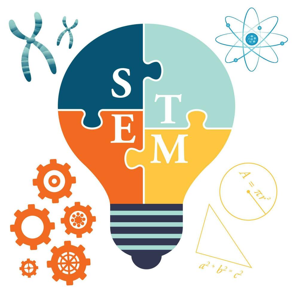 STEM Science Technology Engineering Mathematics vector illustration
