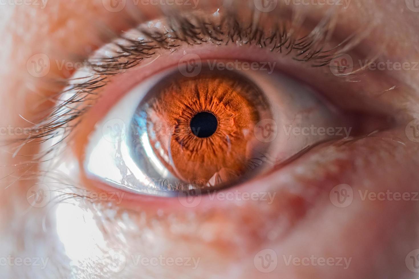 man brown eye macro photography photo