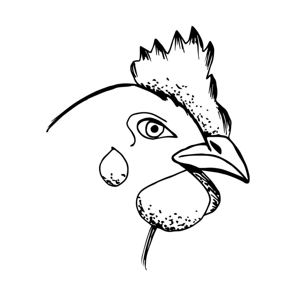 boceto de vector de tinta simple dibujado a mano. cabeza de gallo en contorno negro aislado sobre un fondo blanco. mascotas, pollo de granja, aves de corral. para impresiones, etiquetas, mercado.
