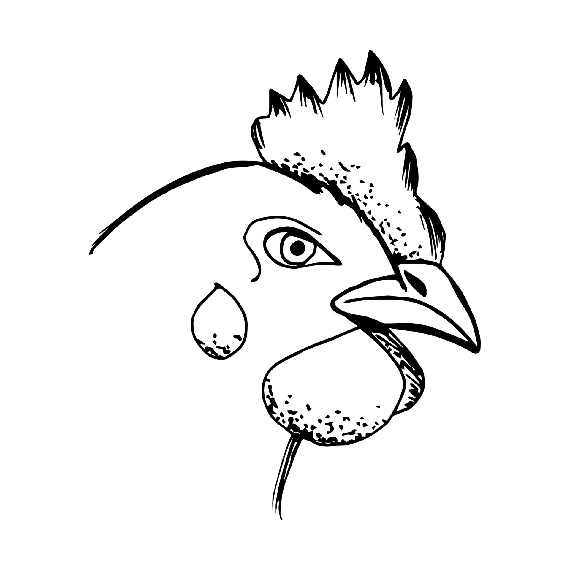 Head portrait of a rooster illustration sketch Head portrait of a rooster  logo emblem of chicken meat farming domestic  CanStock