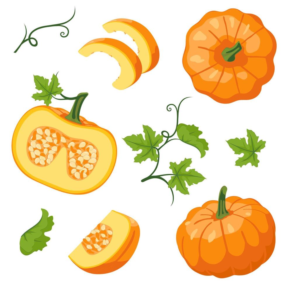 conjunto vectorial de calabazas naranjas aisladas en un fondo blanco vector