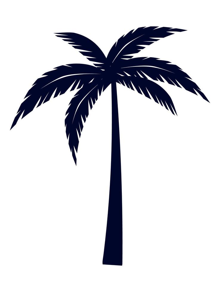 tropical palm tree vector