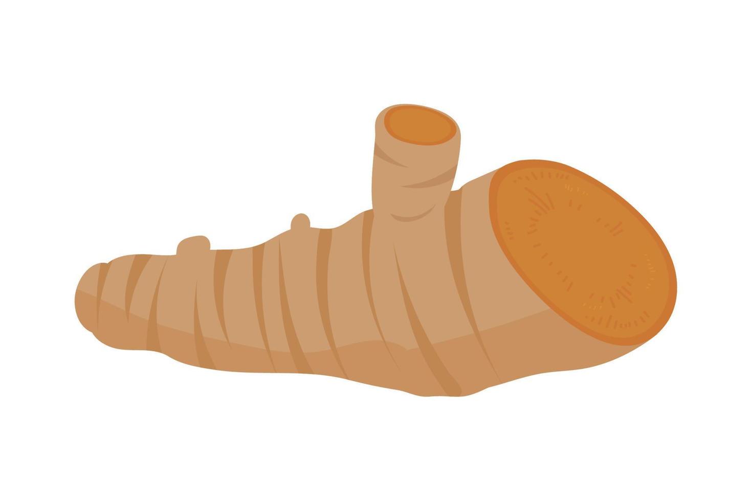 slice ginger icon vector