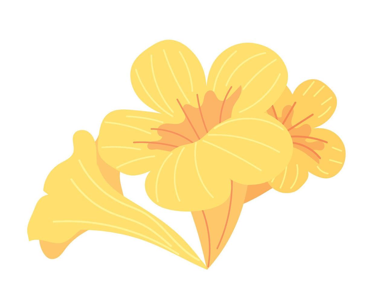 icono de flores tropicales vector