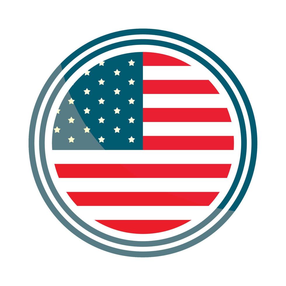 USA flag button vector