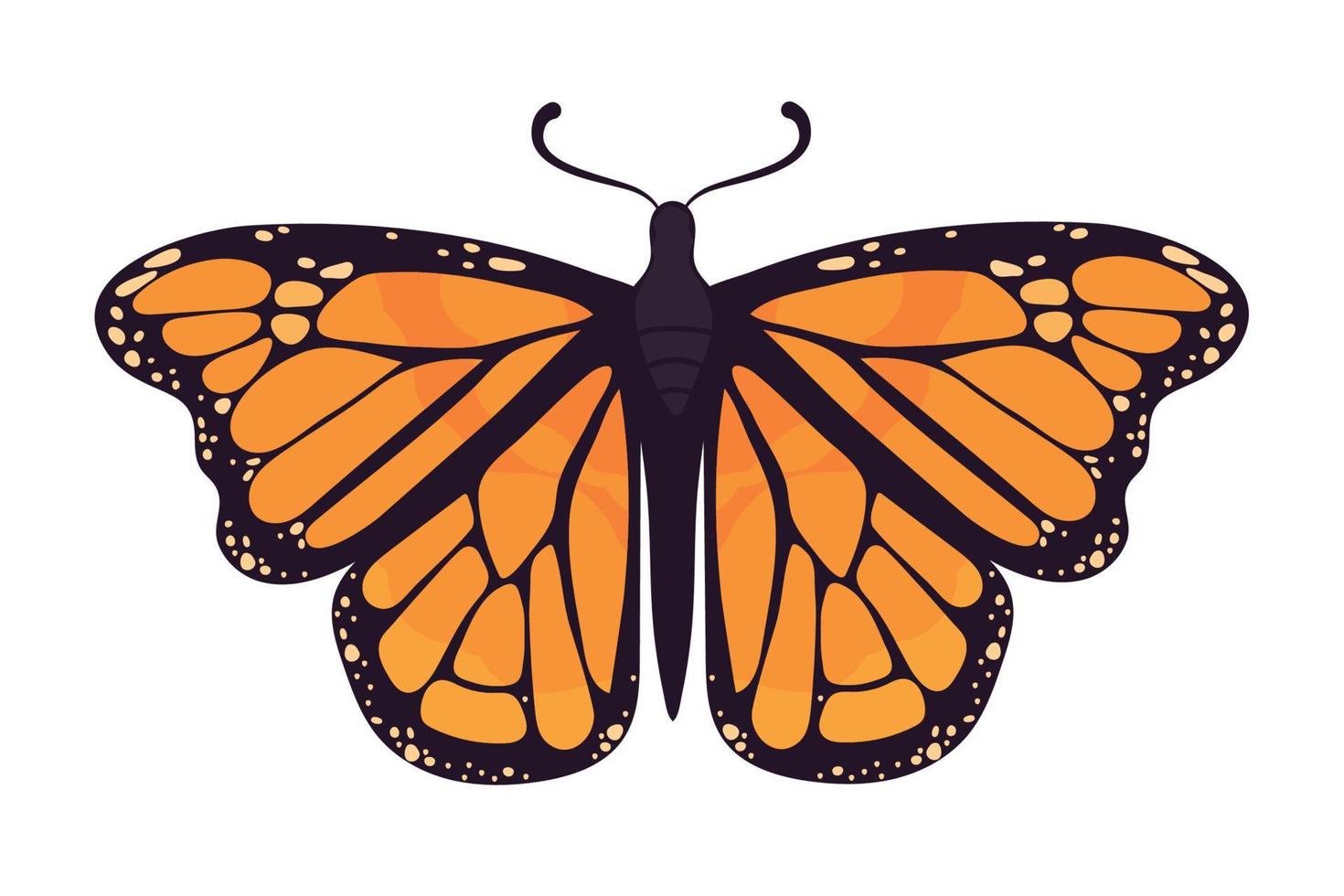 monarch butterfly bug vector