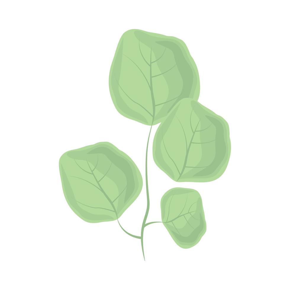 nature foliage leaf vector