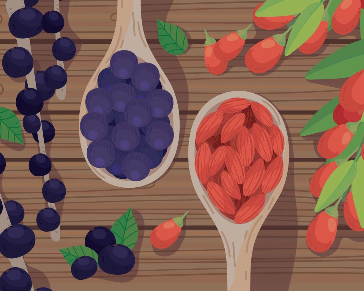 fruits in spoons vector