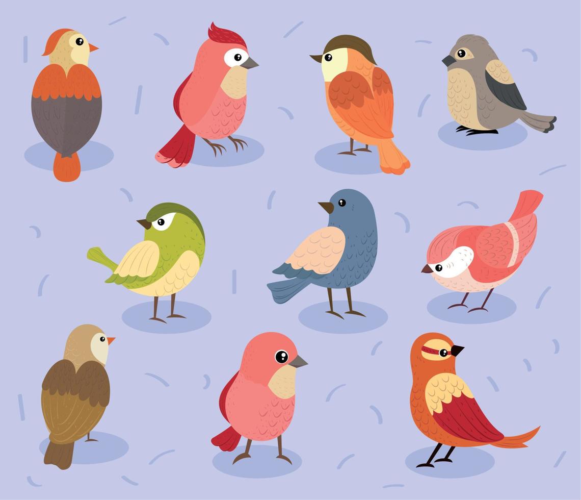 colección de iconos de aves vector