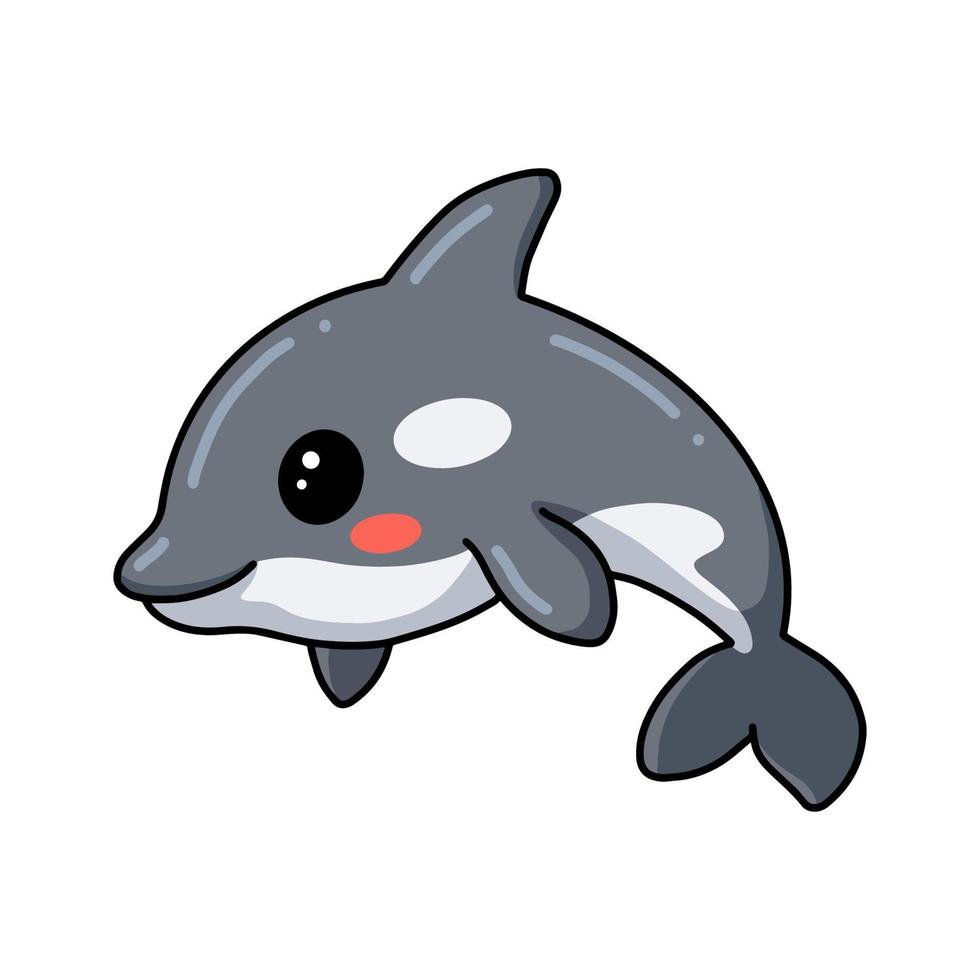 Cute little killer whale cartoon vector