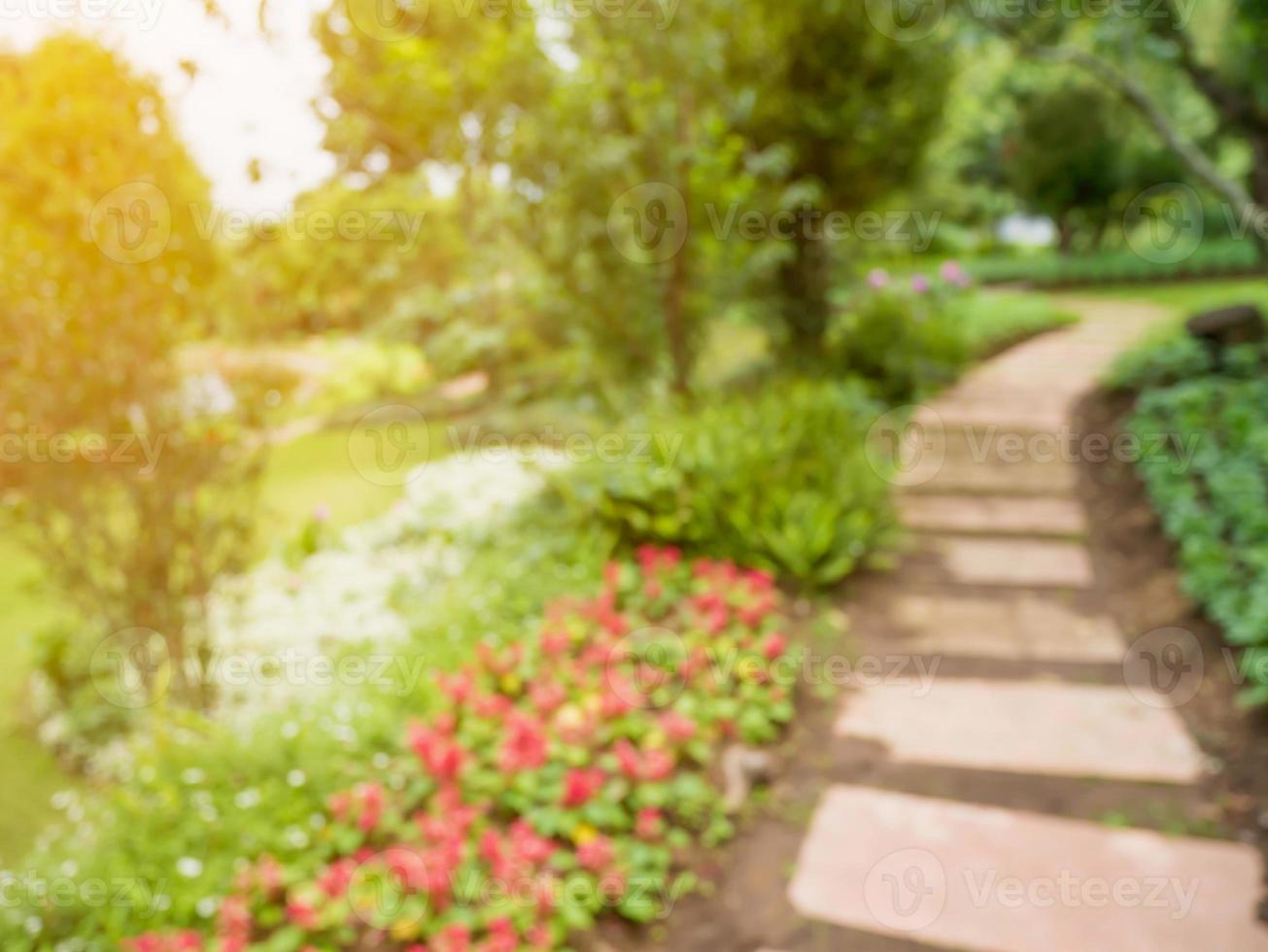 Walkway in the flowers garden blur background 10808858 Stock Photo at  Vecteezy
