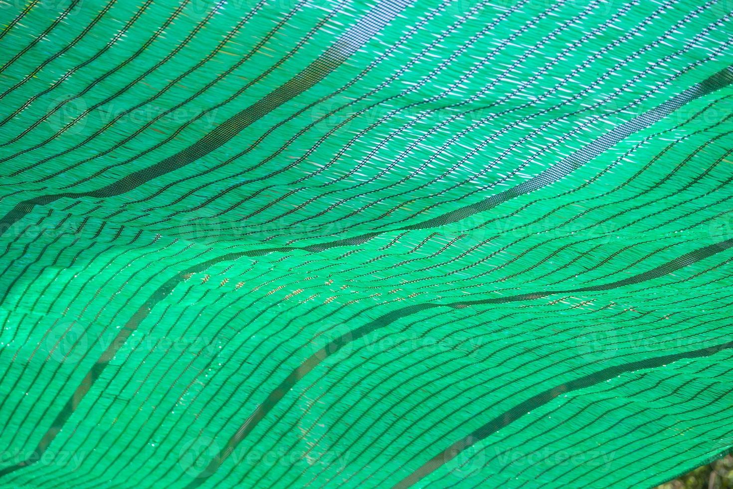 Green Shading Net protect sun light photo