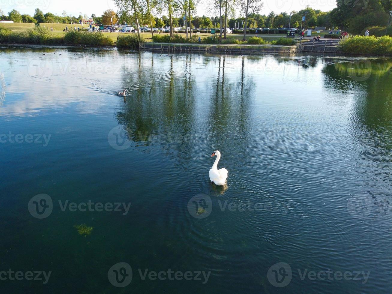 Cute Water Birds Swimming, Footage of Willen Lake and Park which is located at Milton Keynes, England. People are Enjoying at Lake on a Hot Sunny Day of Summer. Video Clip Captured on 21-8-2022 photo