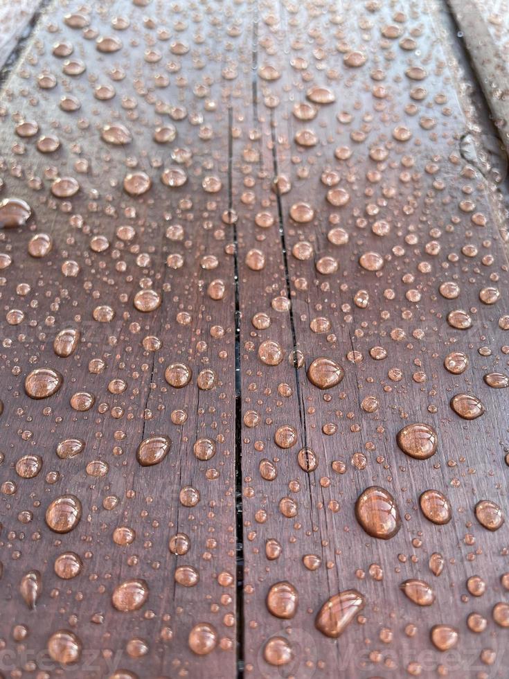 muchas gotas de agua en un árbol oscuro foto