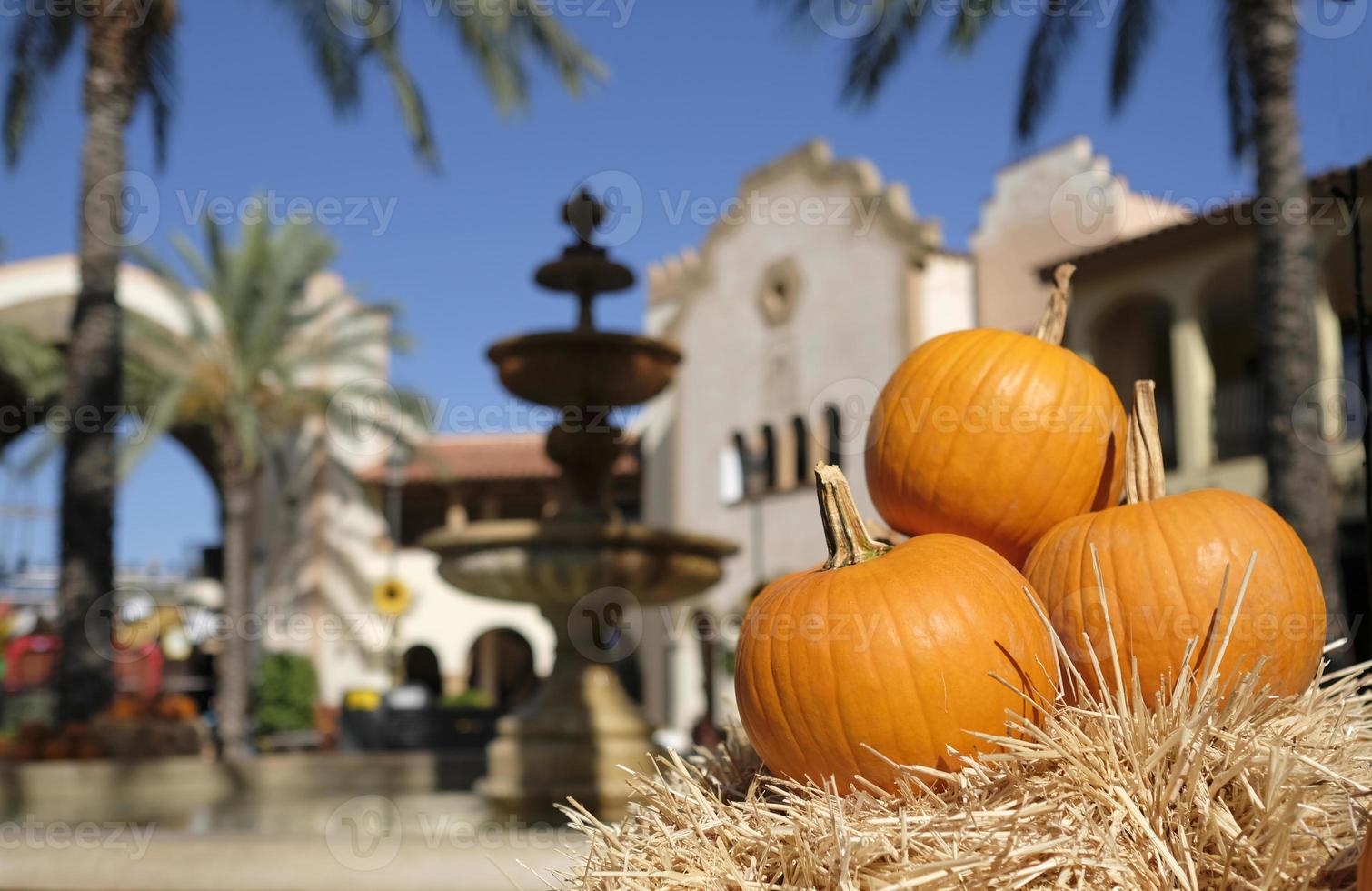 Thanksgiving and Halloween - Multiple pumpkins on and around stacks of hay photo