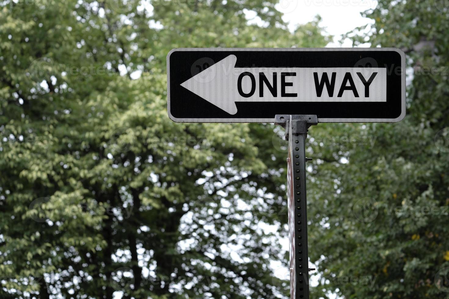 One Way road sign in front of  green trees photo