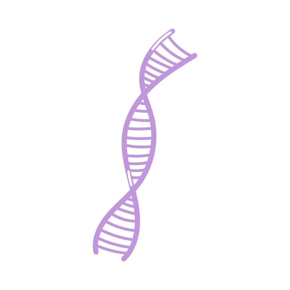 DNA double helix, vector flat hand drawn style illustration on white background