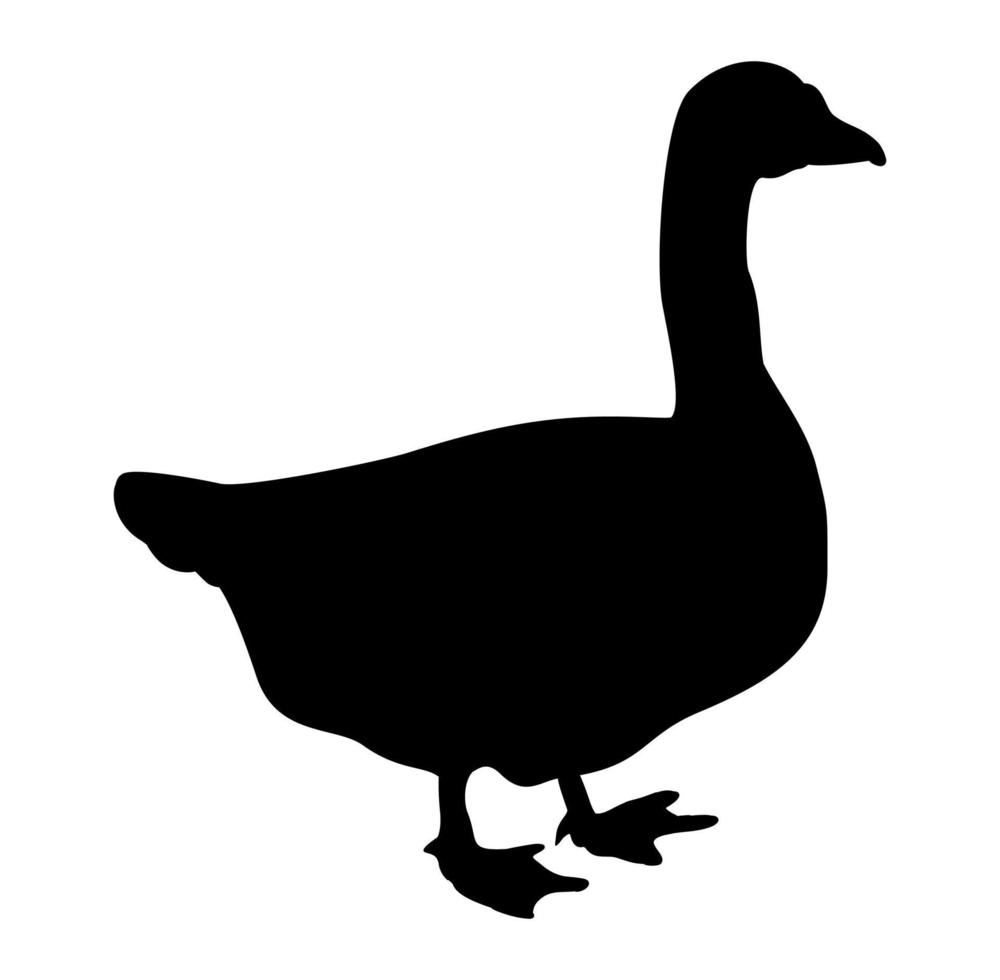 Black goose silhouette isolated on white background. vector