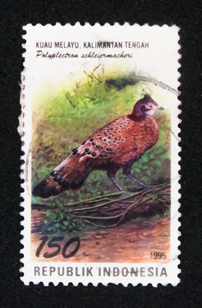 Sidoarjo, Jawa timur, Indonesia, 2022 - Philatelic stamp collection with the theme of a rhinoceros illustration of a woman dancing the Ngarojeng dance in the Jakarta area photo