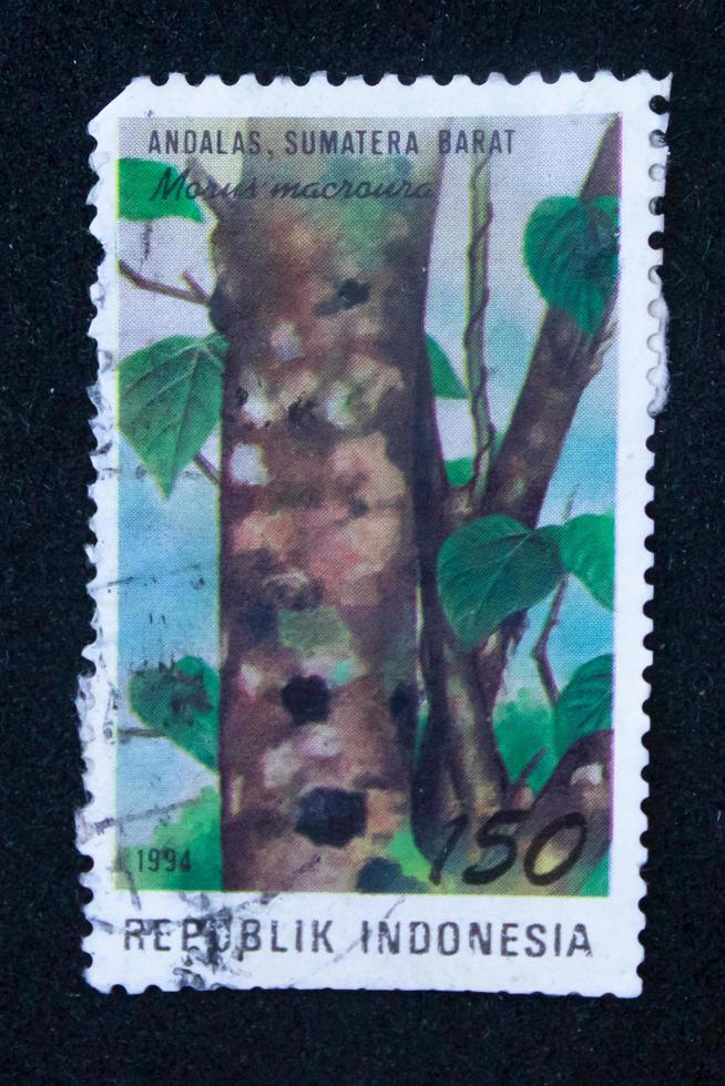 Sidoarjo, Jawa timur, Indonesia, 2022 -  Philately with the theme of the West Sumatra Andalas plant illustration photo