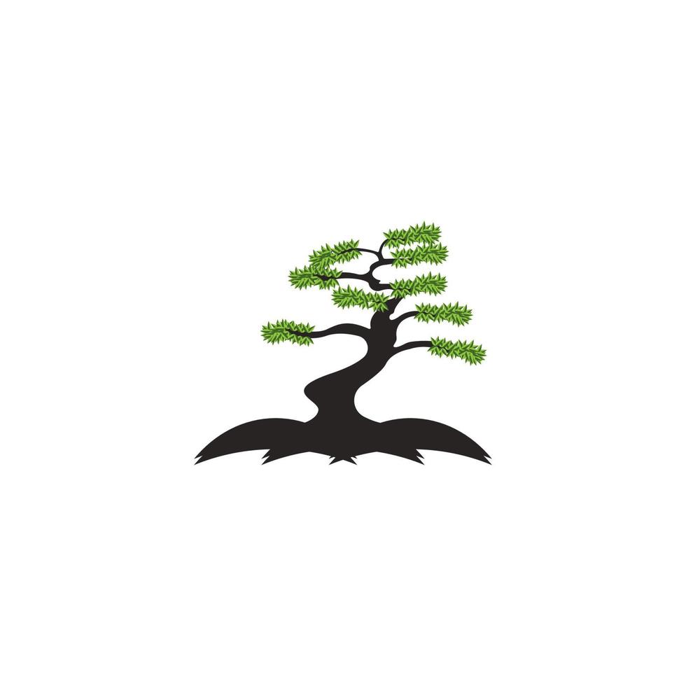 bonsai ornamental plant icon vector