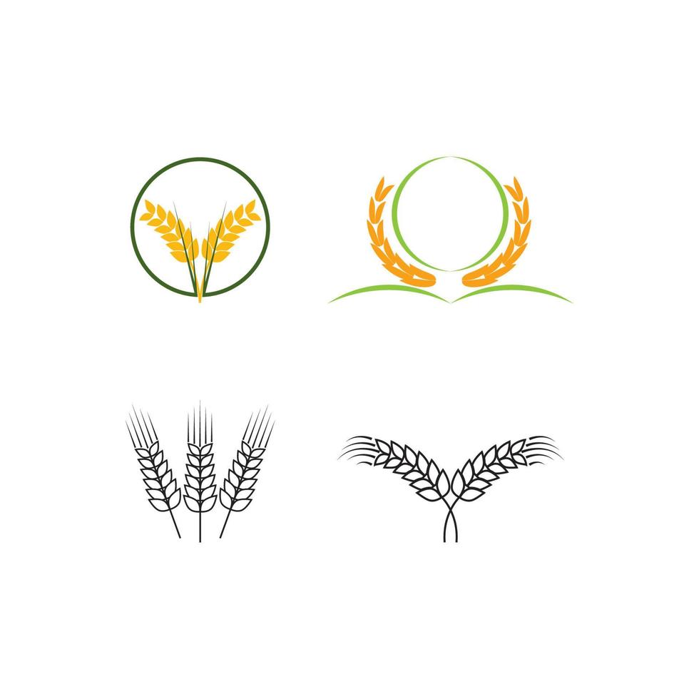 logotipo de agricultura de trigo vector