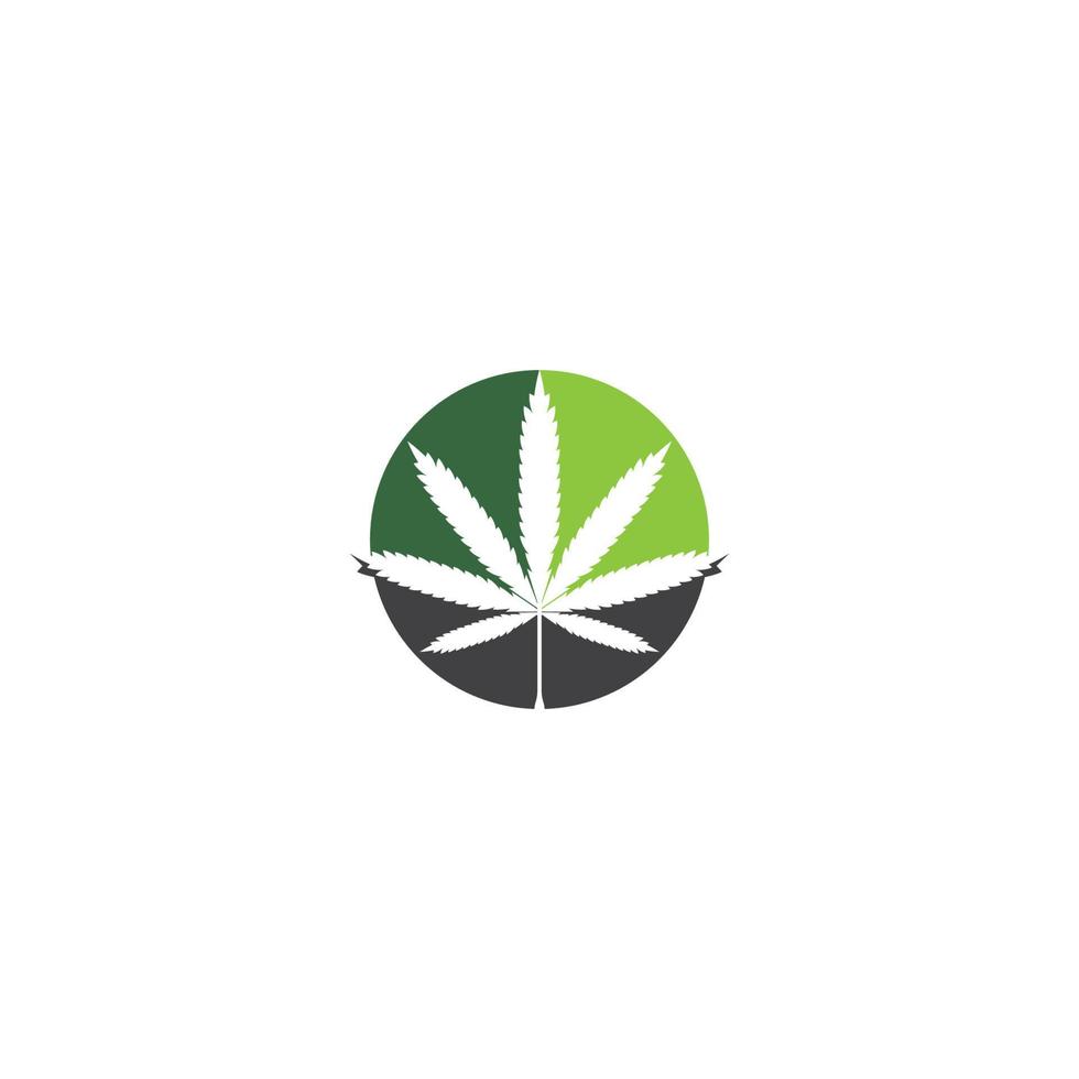Cannabis leaf logo vector