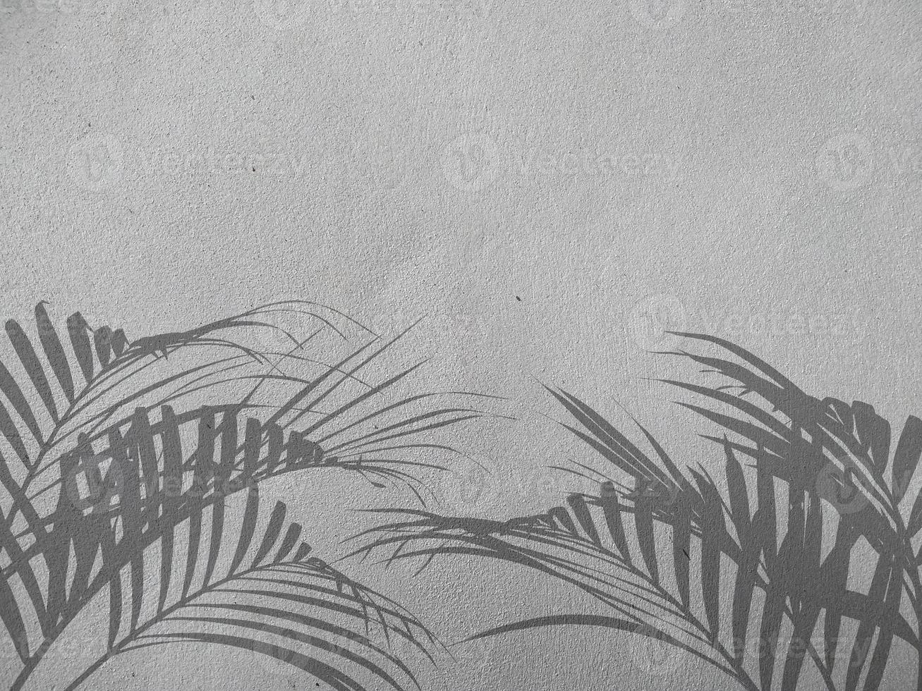 Palm leaf shadow on concrete wall background photo