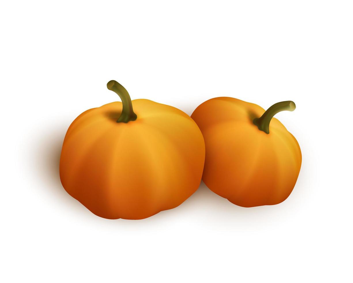 dos calabazas naranjas de otoño para halloween o celebración de acción de gracias vector