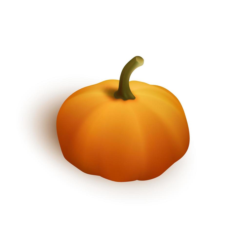 Autumn orange pumpkin for halloween or thanksgiving celebration vector