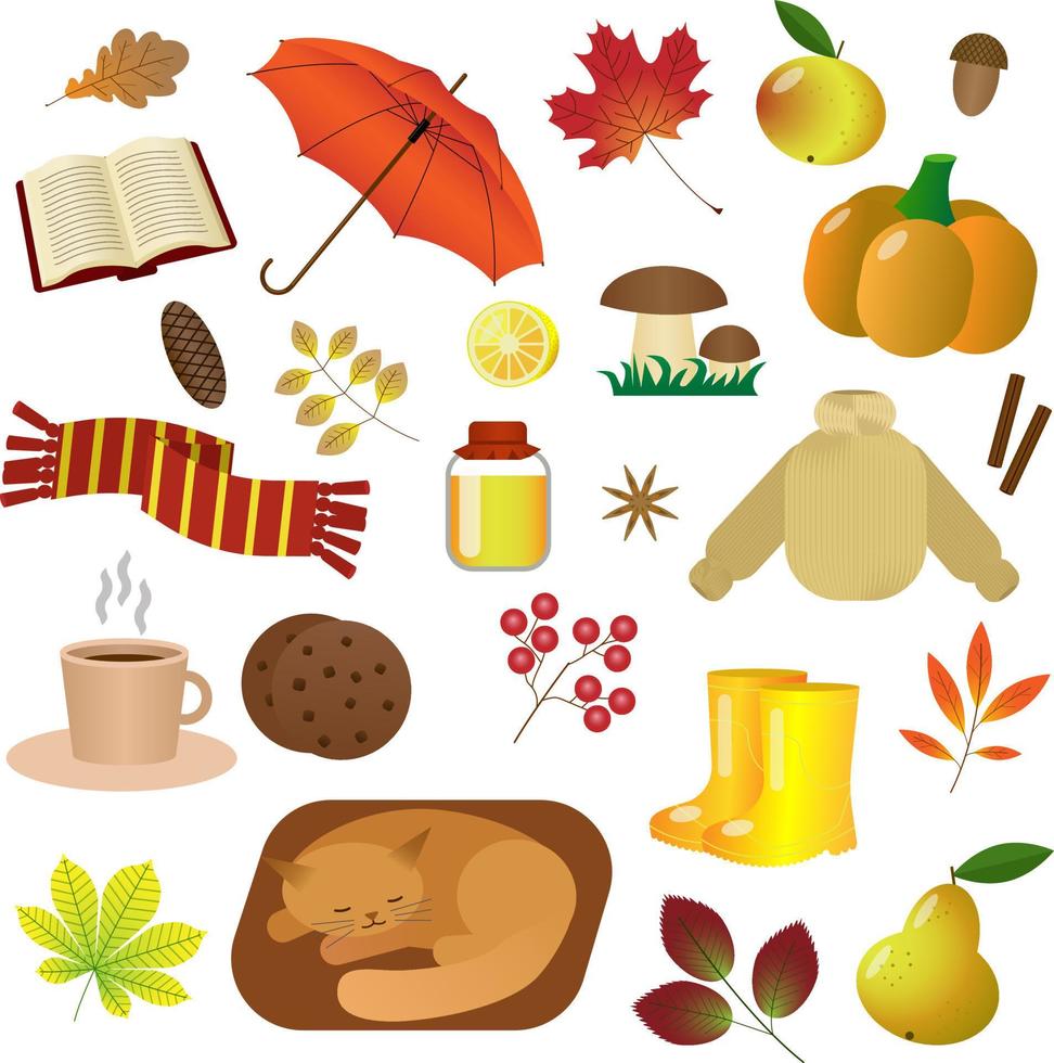 autumn set. cozy autumn. leaves, a sweater, a cup of hot tea with cookies, honey, a sleeping cat. cartoon vector illustration.