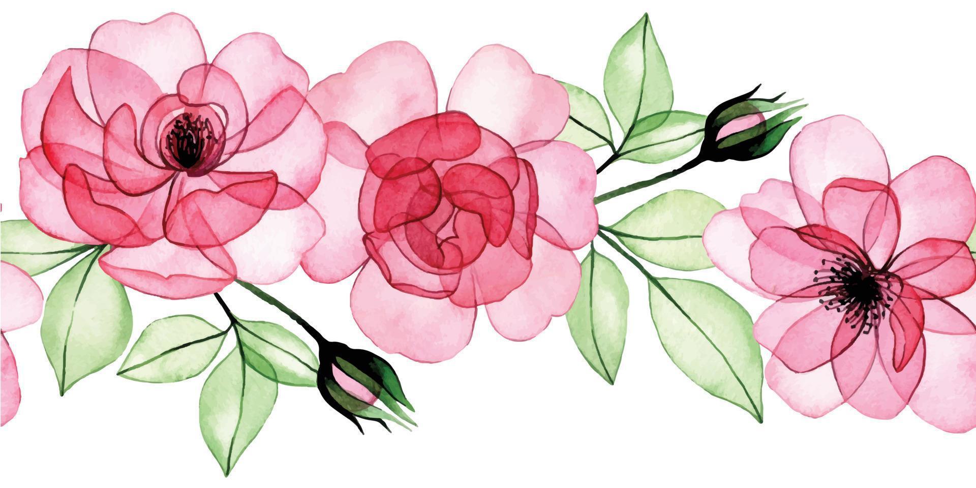 watercolor drawing. seamless border, transparent flowers frame, pink roses, buds and leaves. x-ray vector