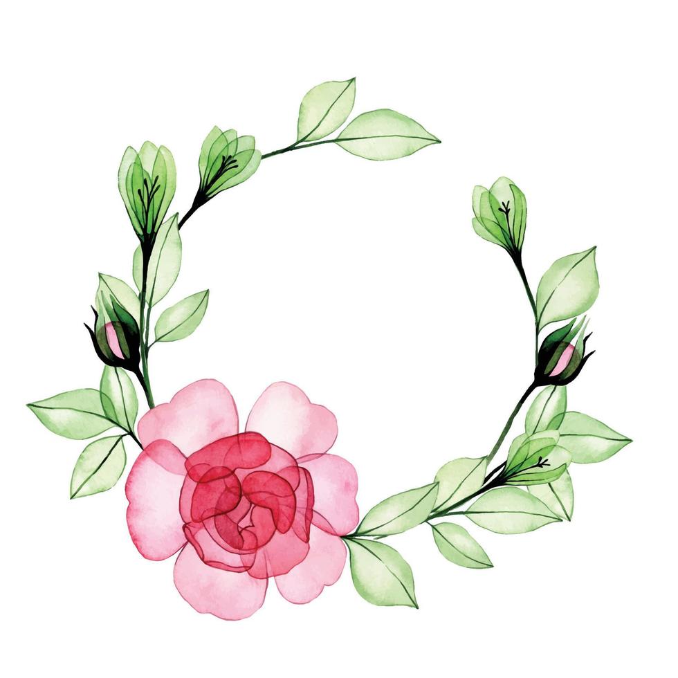 watercolor drawing. round frame, wreath of transparent flowers and rose leaves. pink rose x-ray vector