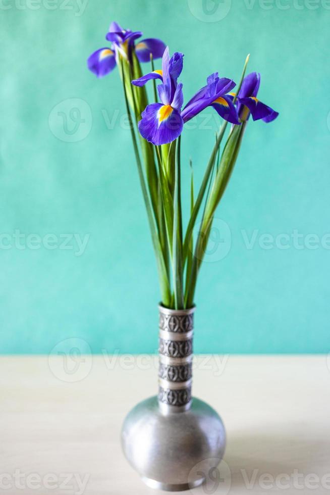natural iris flowers in old pewter vase on table photo