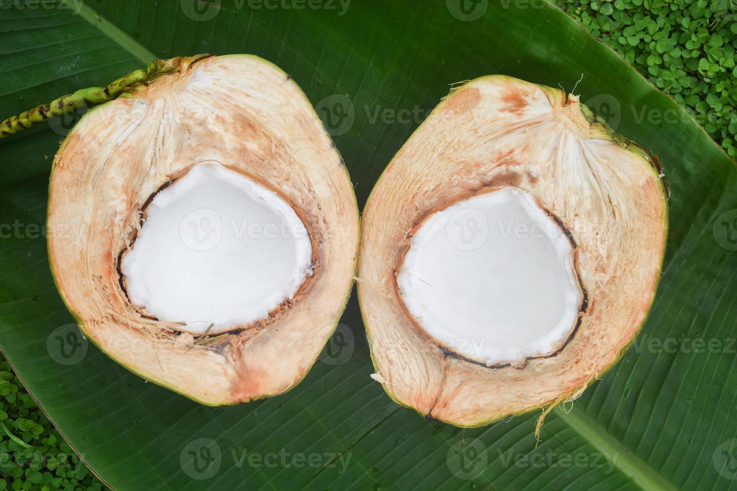 coconut half on green background photo