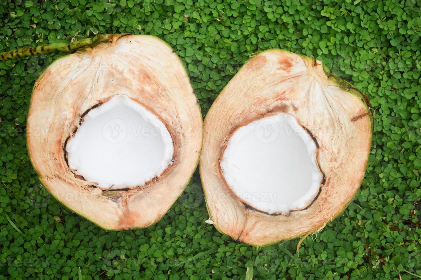 coconut half on green background photo