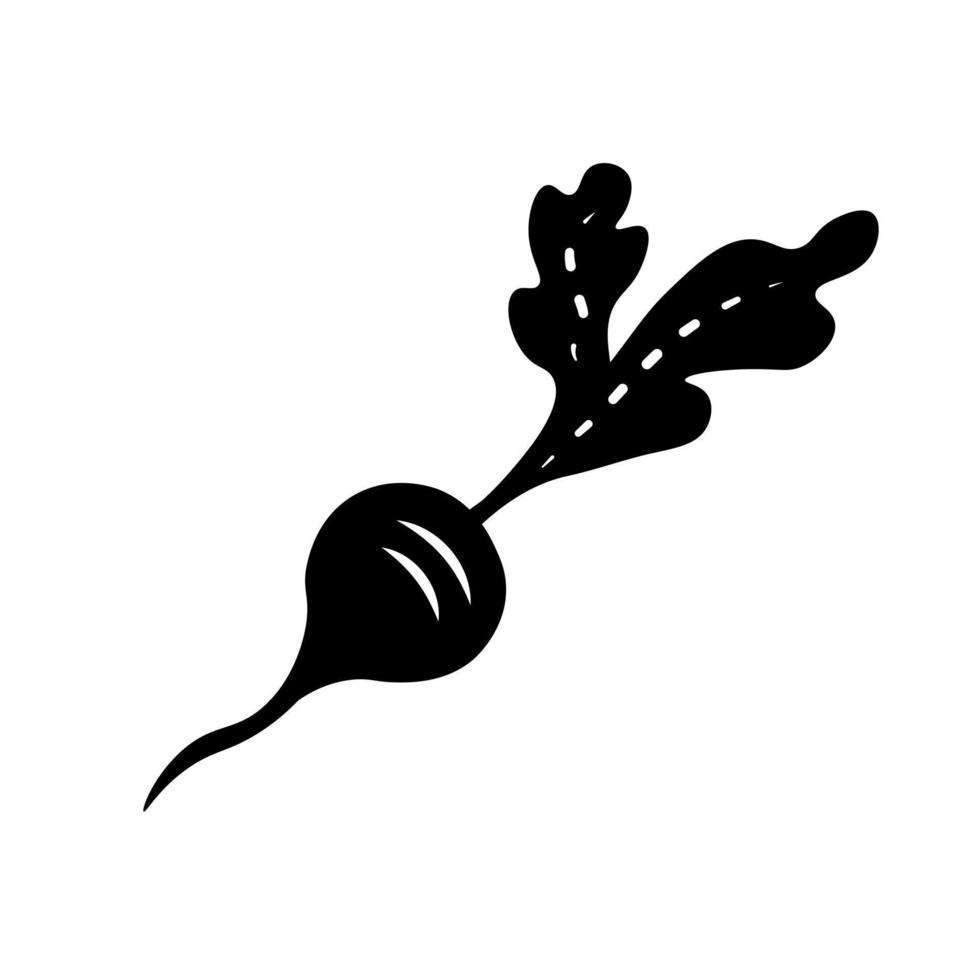 Radish vector silhouette in doodle style