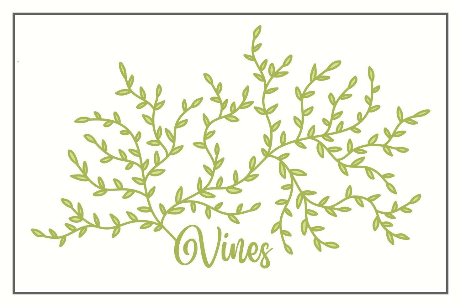 Vines Leaves Vector Illustration Design
