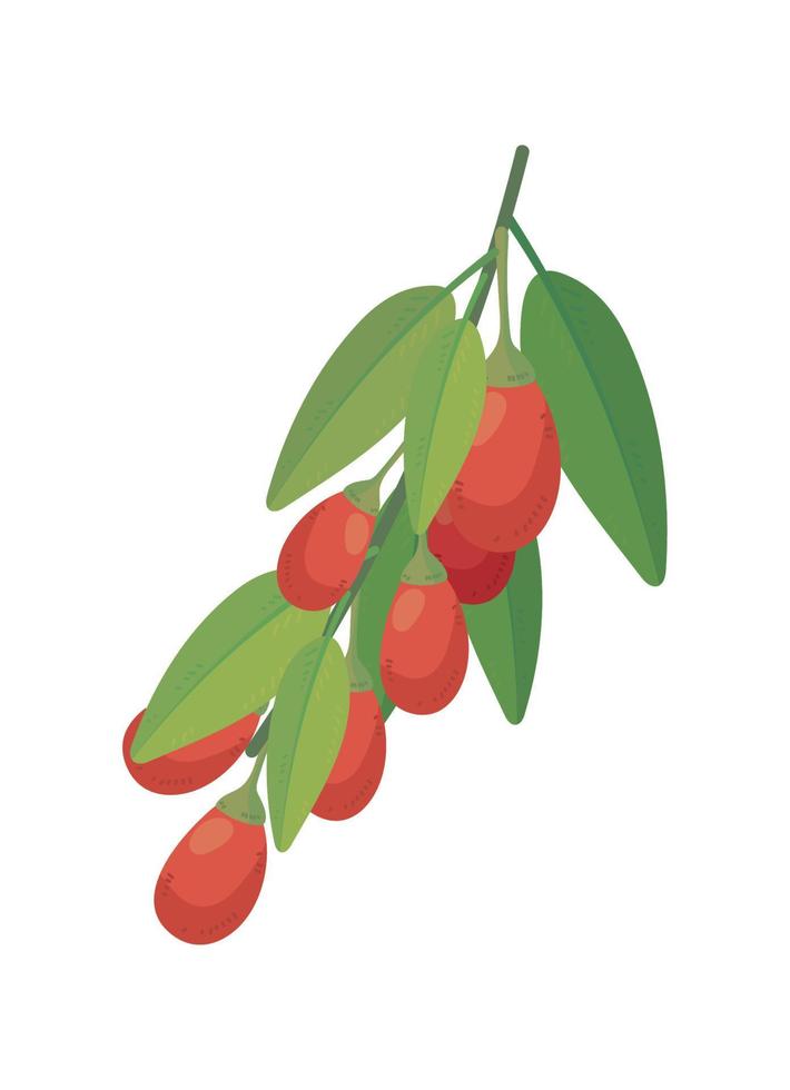 branch of goji vector