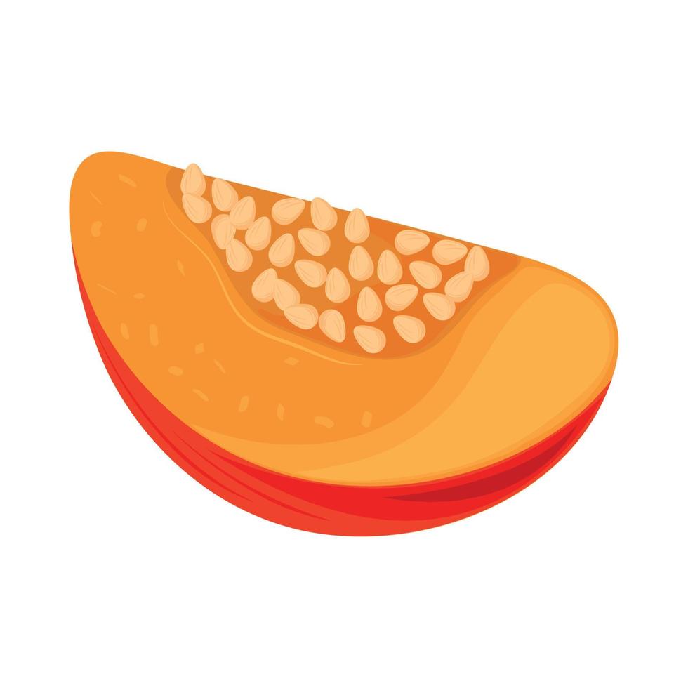 slice of pumpkin vector