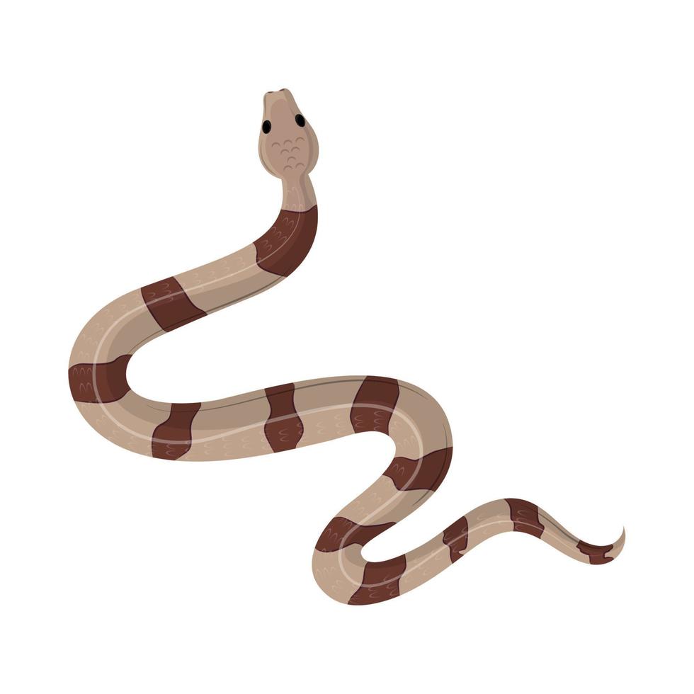 snake wild animal vector