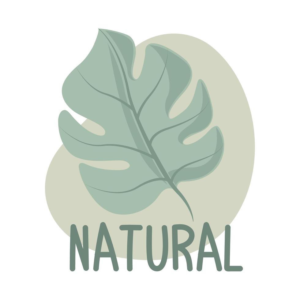 natural leave nature vector