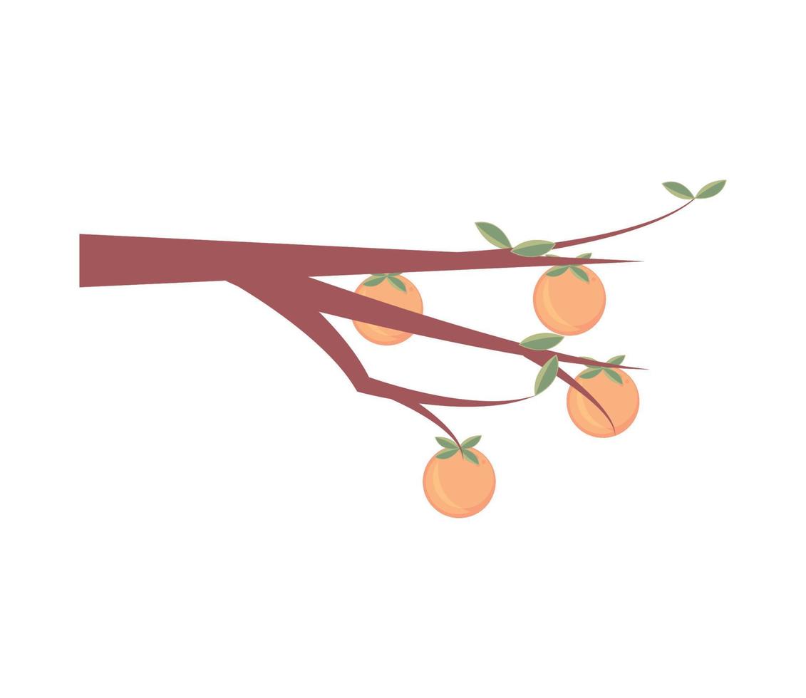 rama de arbol con naranjas vector