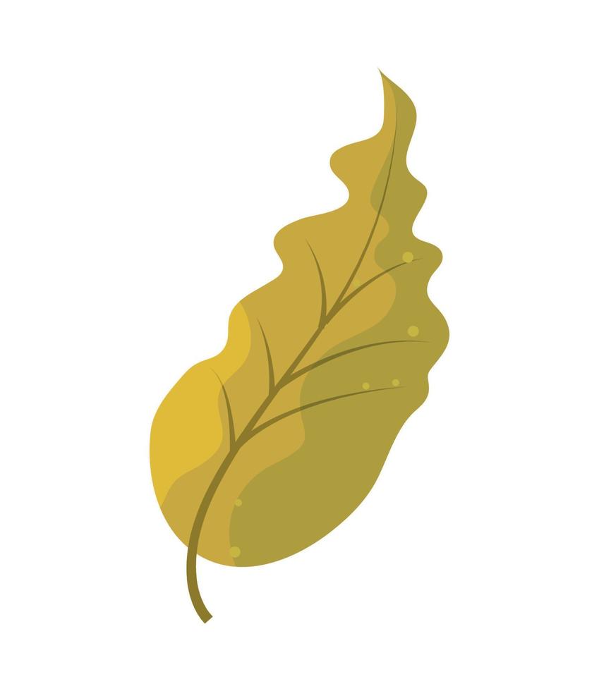 leaf plant icon vector