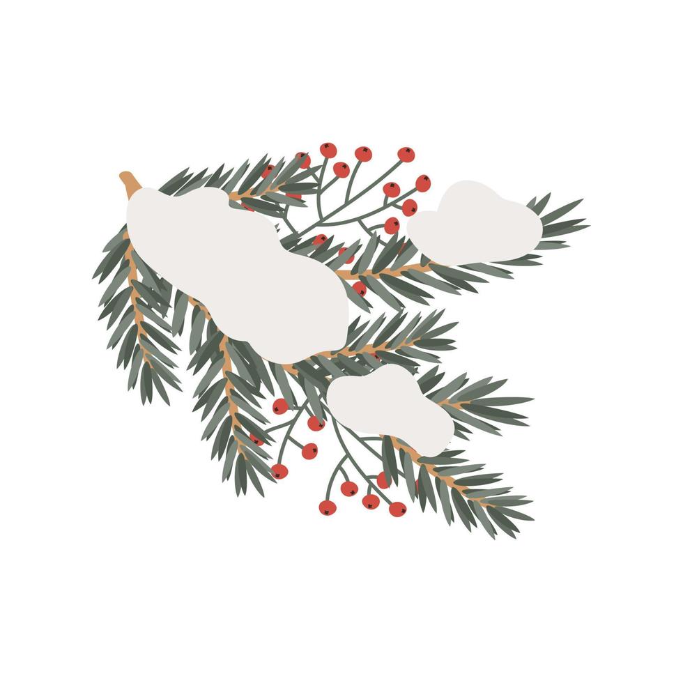 Branch of spruce pine with green needles, red berries and snow for decoration for the holiday. Vector clipart, isolated illustration on a white background for decorating postcards, banners, leaflets