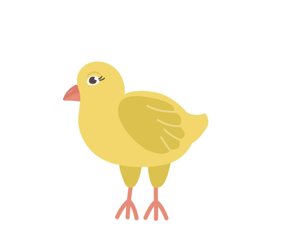 lindo pollo amarillo con un pico de estilo de dibujos animados. carácter vectorial de un ave de una granja aislada en un fondo blanco. vector