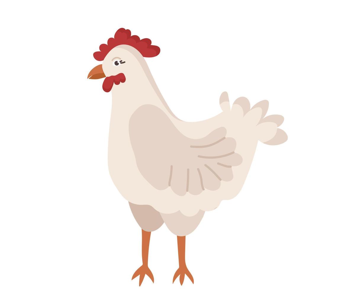 lindo pollo con pico y mechón rojo al estilo de las caricaturas. carácter vectorial de un ave de una granja aislada en un fondo blanco. vector